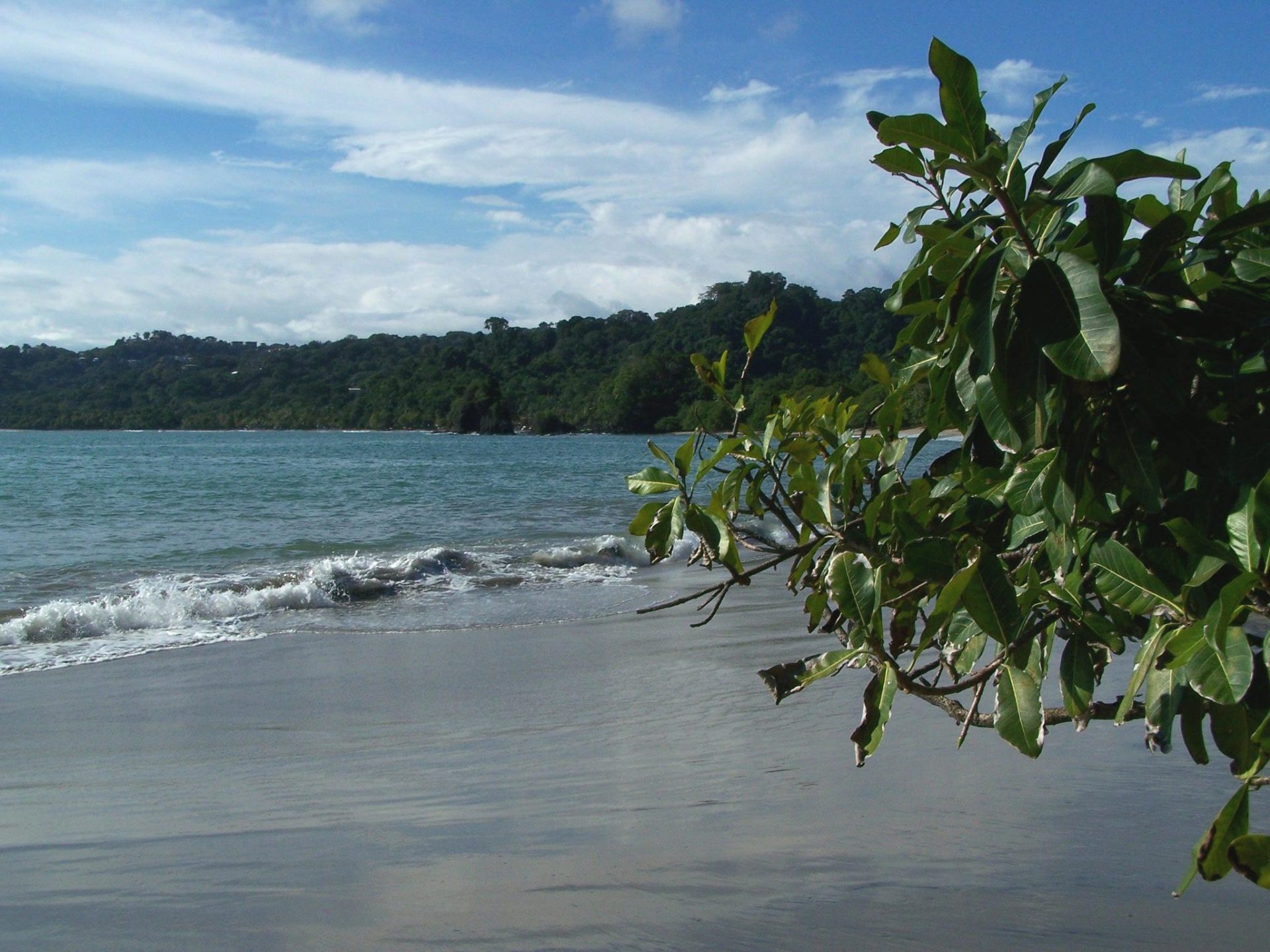 Tropischer Strand in Costa Rica