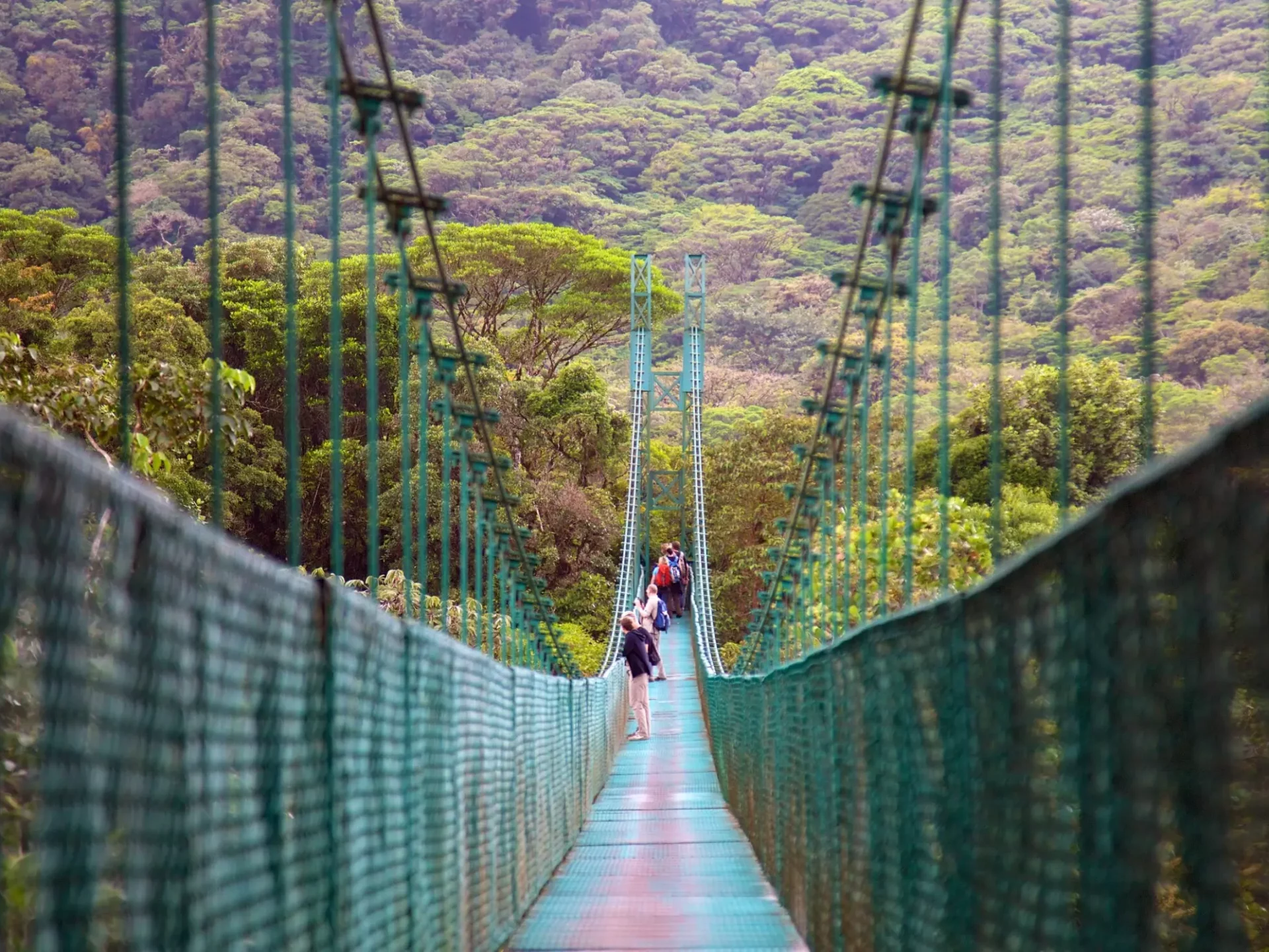 Monteverde: Hängebrücken-Tour (Markus Recknagel)