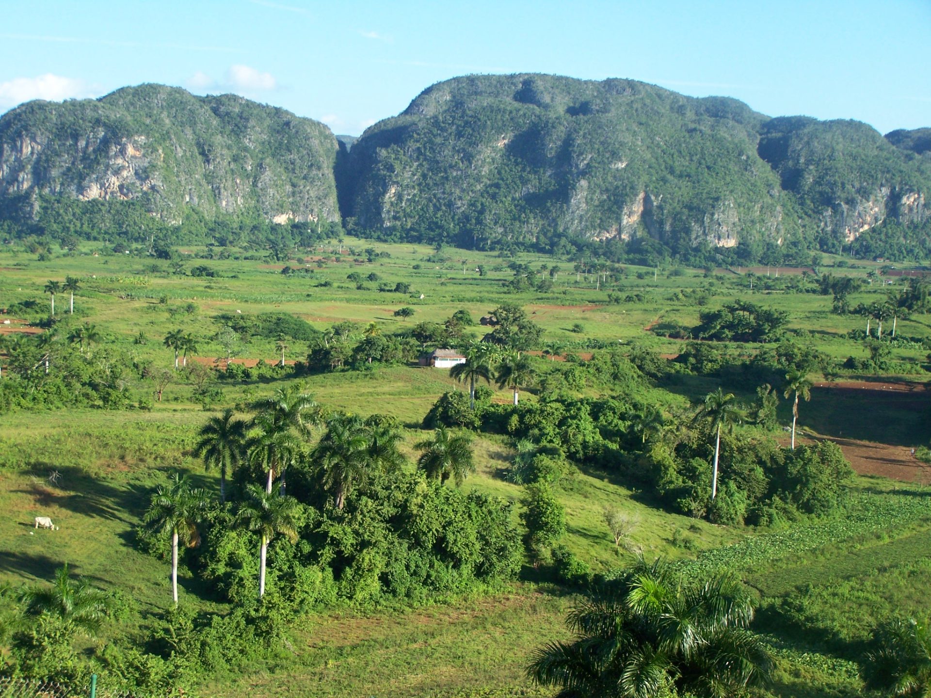 Das zauberhafte Tal von Viñales