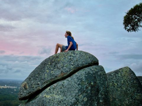 Rast auf einem Felsen