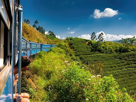 Zugfahrt durch das Teegebiet